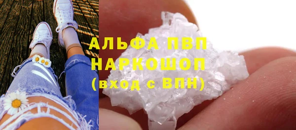 прущий лед Алзамай
