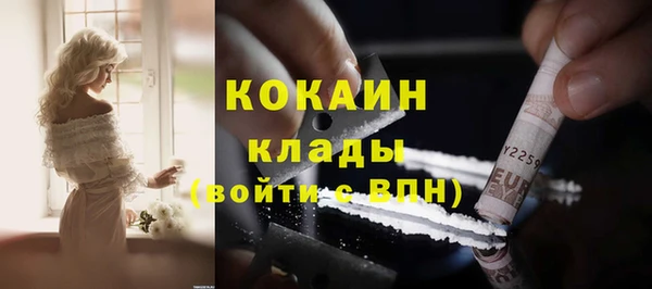 прущий лед Алзамай